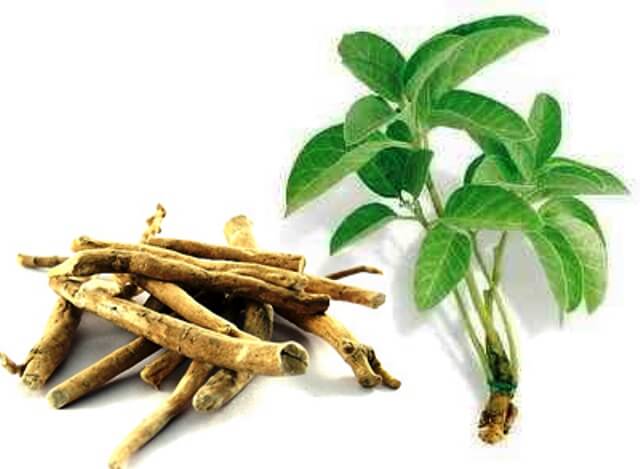 ASHWAGANDHA