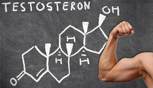 Testosterón u mužov